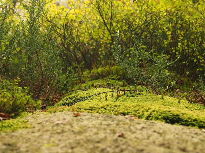 换区后商店刷新<br>App Store内容同步教程